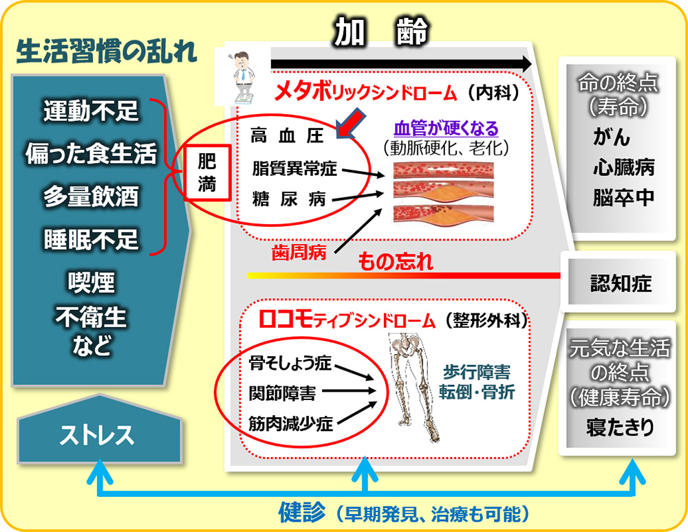 ※健康物語~人の健康の一生~